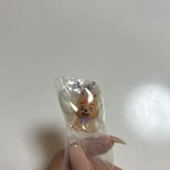 SKZOO めじるしアクセサリーのサムネイル