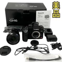 パナソニック ルミックス ミラーレス一眼カメラ DC-GH6L レンズキット