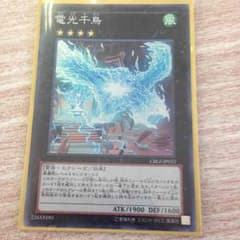 電光千鳥のサムネイル