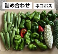 訳あり丸オクラ　訳ありミニピーマン　ミニゴーヤのサムネイル