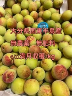 大分県国東半島産　3kg 6/11満月収穫　農薬不使用　無肥料のサムネイル