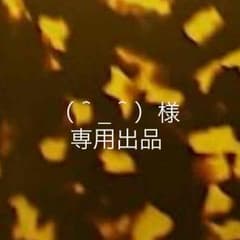 （＾_＾）様専用出品のサムネイル