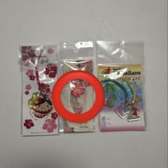 【mwsk☆様専用】ハワイアンキーホルダーのサムネイル