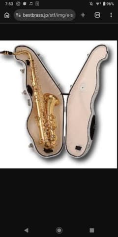 BEST BRASS e-Sax テナーサックス消音器 ベストブラスマウスピース