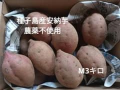 種子島産安納芋　農薬不使用　М3キロのサムネイル
