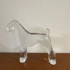 KostaBoda コスタボダ エアデールテリア - メルカリ