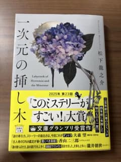 一次元の挿し木 松下龍之介