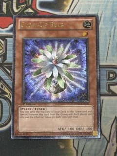 グローアップ・バルブ 米レリーフ 遊戯王 グローアップバルブ 英語 1st レリーフ - メルカリ