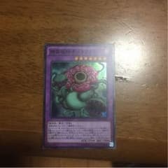 キメラフレシアのサムネイル