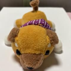 柴犬のサムネイル