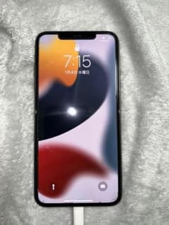 iPhone 11 pro max 256GB - スペースグレイのサムネイル