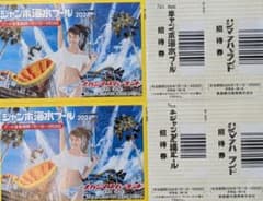 ナガシマスパーランド ジャンボ海水プール 招待券 2枚のサムネイル