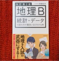 地理B統計・データの読み方が面白いほどわかる本のサムネイル