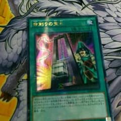 遊戯王 命削りの宝札のサムネイル