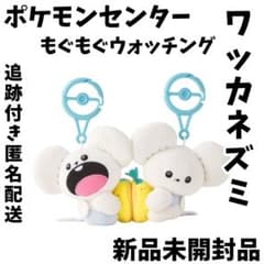 ポケモンセンター ワッカネズミ ペア マスコット ポケモン もぐもぐ