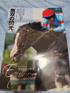 イクイノックス クリアファイルのサムネイル