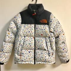ミナペルホネン×ノースフェイス ダウンジャケット 美品のサムネイル
