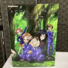 중고 ACCELWORLD 가속 세계 은익의 각성 더 완성 가이드