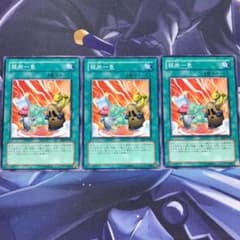 遊戯王 弱肉一色のサムネイル