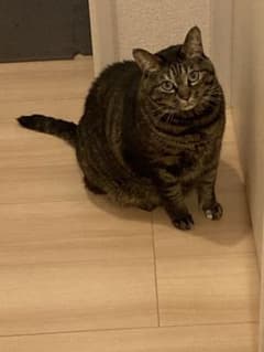 ♡Julie♡様専用のサムネイル