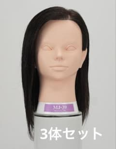 新品未使用 MJ-39 カットウィッグ 国家試験 練習用 美容師(2体セット