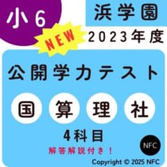 希学園 小6 公開テスト国算理社 4科目1年11回分解答付 希学園 小6 公開テスト国算理社 4科目1年11回分解答付 - メルカリ