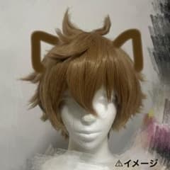 ツイステ ラギー コスプレ ウィッグ Dハロ セット済み - メルカリ