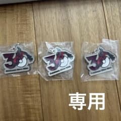 ポケモン 30周年記念 キーホルダー 3個セットのサムネイル