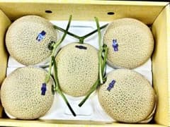 高知産大玉マスクメロン秀品5玉入9,4キロ - メルカリ