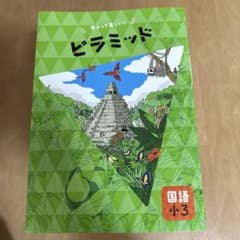 ピラミッド 国語 小3　早稲田アカデミーのサムネイル