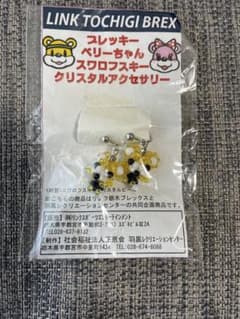 宇都宮ブレックス  イヤリングのサムネイル