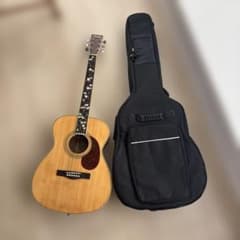 絶版・美品LumberランバーLD30VSアコースティックギター純正ケース＆弦付 Lumber アコースティックギター ソフトケース付き - メルカリ