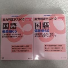 実力判定テスト10 国語 偏差値60 65 2冊セットのサムネイル