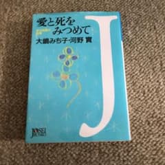 愛と死をみつめて : ある純愛の記録のサムネイル