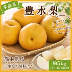 【熊本県産 荒尾梨たっぷり5kg】のサムネイル