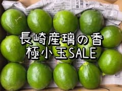 118長崎産　璃の香　国産グリーンレモン 極小玉家庭用コンパクト　14個入りのサムネイル