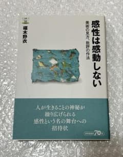 椹木野衣　感性は感動しない -美術の見方、批評の作法のサムネイル