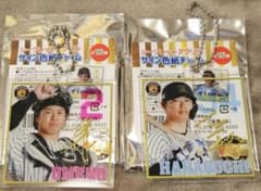 阪神タイガースのサムネイル
