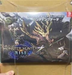 モンスターハンターライズ　ハンティングデータのサムネイル