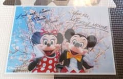 ディズニー  実写  フォト  桜のサムネイル