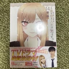 その着せ替え人形は恋をする(14)のサムネイル