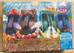 【新品未開封】ももクロ 夏のバカ騒ぎ2025 ステッカー 楽天限定BOX付 新品未開封】ももクロ 夏のバカ騒ぎ2025 ステッカー 楽天限定BOX付