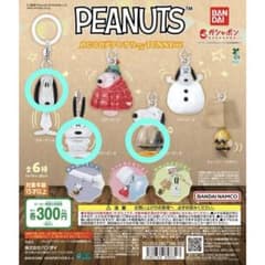 PEANUTS めじるしアクセサリー FUNNYver.のサムネイル