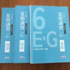 名進研 夏期講習 小6 算数、国語 - メルカリ