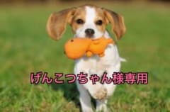 KOSE INFINITY アドバンストモイスチュアコンセントレートのサムネイル