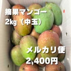 摘果マンゴー　13kg箱込み 摘果マンゴー 箱込み3kg 中玉 (1玉約100〜140g) - メルカリ