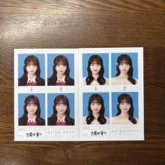 古園井寧々 証明写真 seju 8枚セットのサムネイル