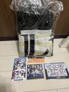 埼玉西武ライオンズ　ファナティクス2wayリュック他特典のサムネイル