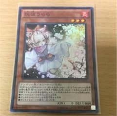 ハルウララのサムネイル