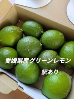 愛媛県産　旬のグリーンレモン　訳ありのサムネイル